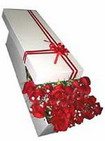 pakette güller