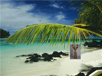 Wookie des îles