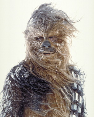Wookie des neiges