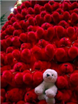 Send Teddy For Friends