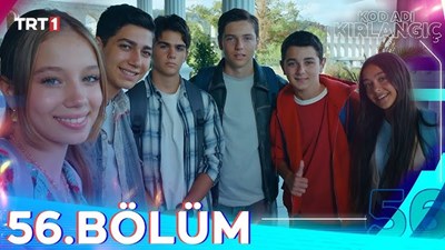 Kod adı kırlangıç Quiz