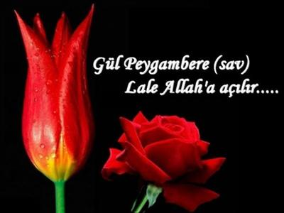 % Kaç Müslümansın?