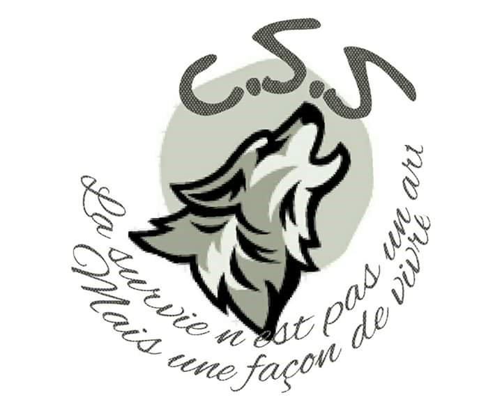 Survie Pour Les Nul