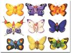 Butterflies!