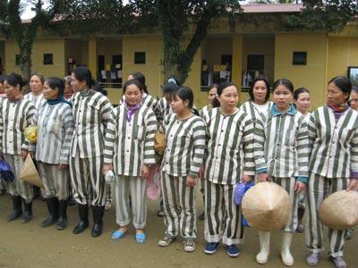 Lương Thiện Hay Côn Đồ