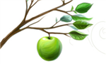 Green Gifts