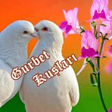 https://www.facebook.com/sevdacekenler