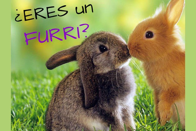¿Que Tan Furry Eres?