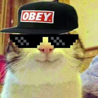 Hangi Youtubersin?