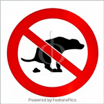 No Dog Poop On My Wall!