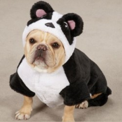 Es-Tu Un Chien?