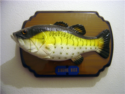 Poisson qui chante