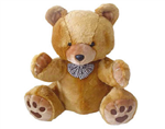 Manda Un Peluche A Chi Vuoi Bene!!