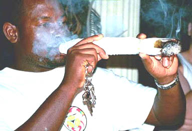 Maconha