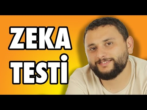 Hangi Zekisin
