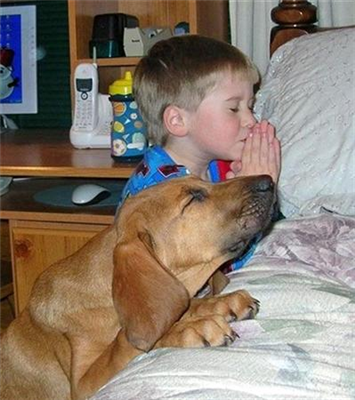 PRAYING DOG