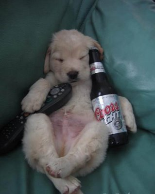 BEER PUPPY