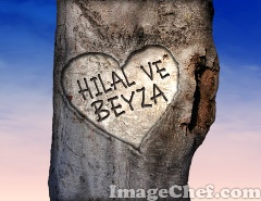 Cevaplada Görelim