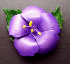 purple hibiscus