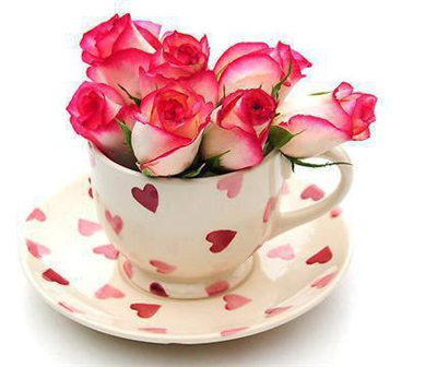 Good Morning