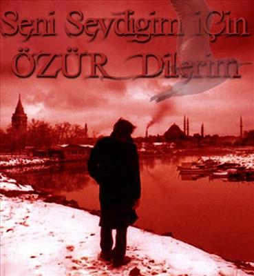 Ne Tür Şairsin?