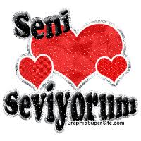 Seni Seviyorum