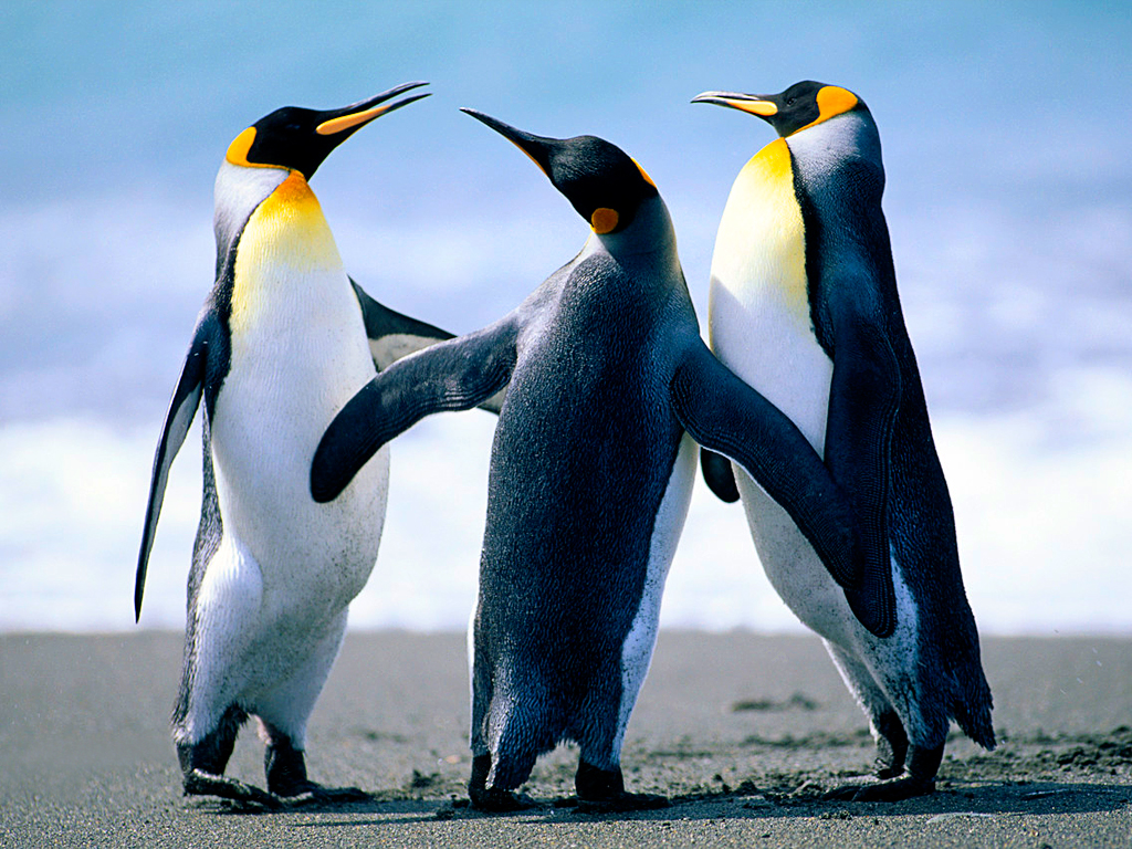 Que Tan Odioso Eres