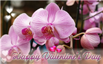 Valentines Day Gifts
