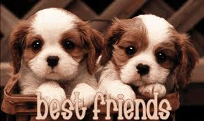 Best Friends (BFF)