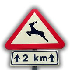 I'm on the road...