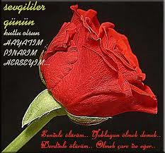 çiçek 19