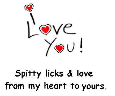 Card14