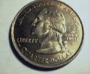 Gold Quarter