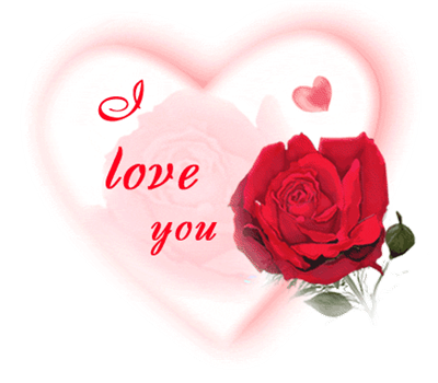love