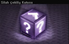 5 Silah Kutusu