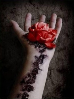 a rose?