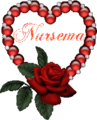 NURSEMA