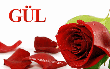 GÜL