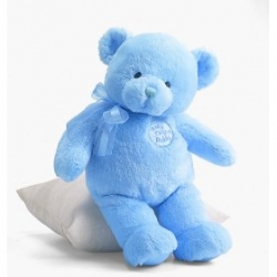 Blue Teddy Bear