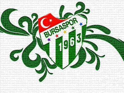 Bursapor Taraftar Gruplarından Hangisine Aitsin?