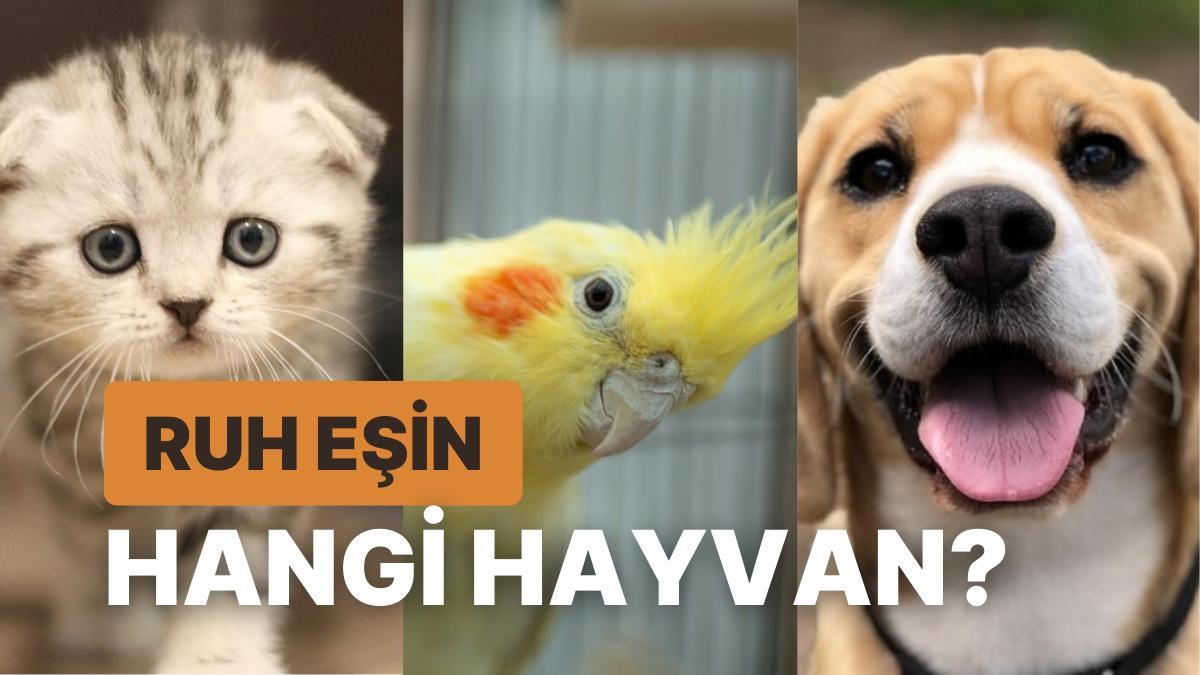 Hangi Hayvan Ruh Eşin?