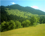Artvin