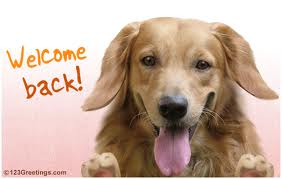 Welcome back!