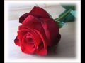 Annem