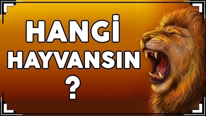 Hangi hayvansın 