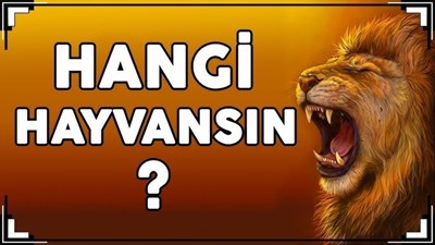 Hangi hayvansın 