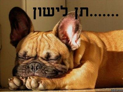 מידת עיפות בבוקר