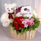 teddy