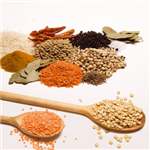 Sahana Package