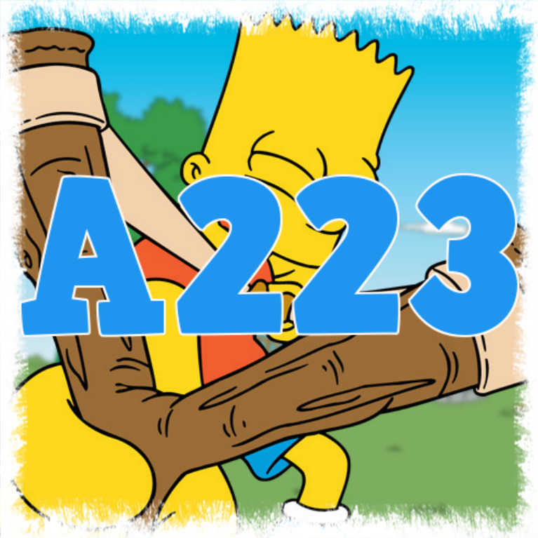 Test De Andres 223